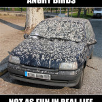 angry-birds