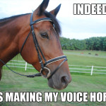 animal-pun5