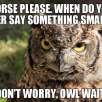 animal-pun6