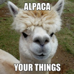 animal-pun9