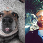 animals-taking-selfies10